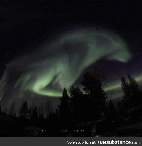 Northern lights in Sweden! Looks like a wolf