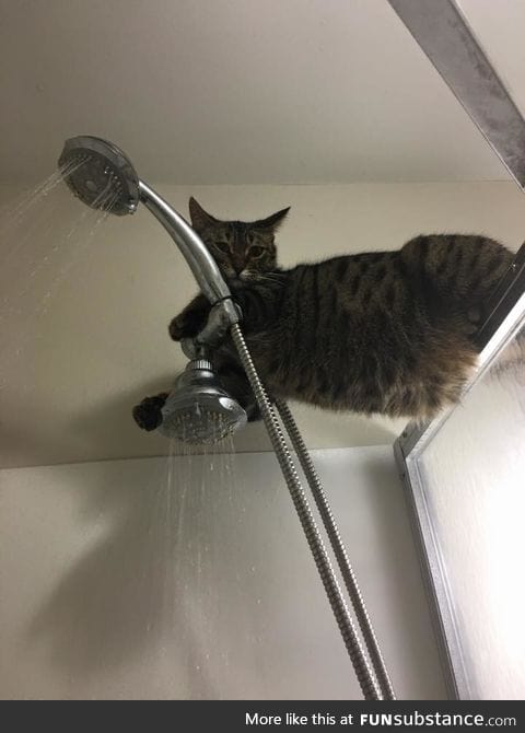 Hey, what are you doing? You taking a shower? That's cool. I'll just hang out