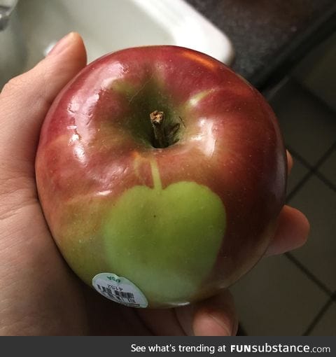 Apple has an apple on it