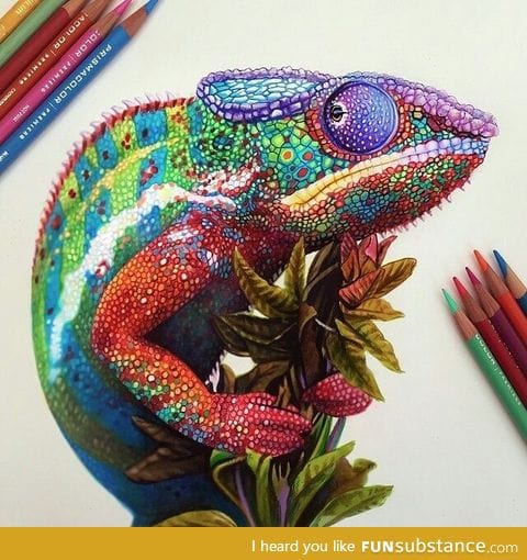 Amazing colored pencil chameleon