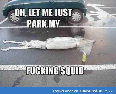 Parking my squid