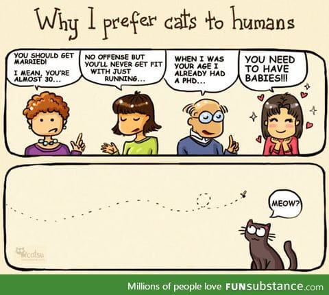 cats are better then humans