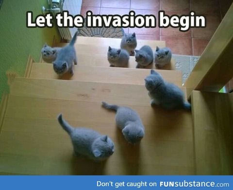 Who wants an Invasion like this?