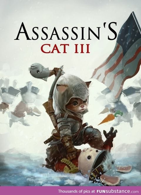 Assassins cat 3!