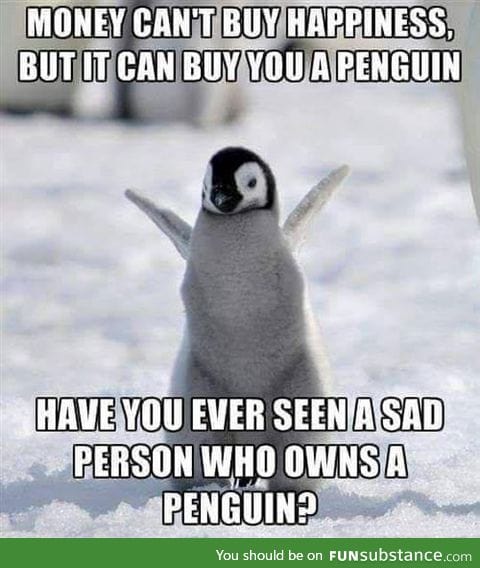 Penguins make everything better