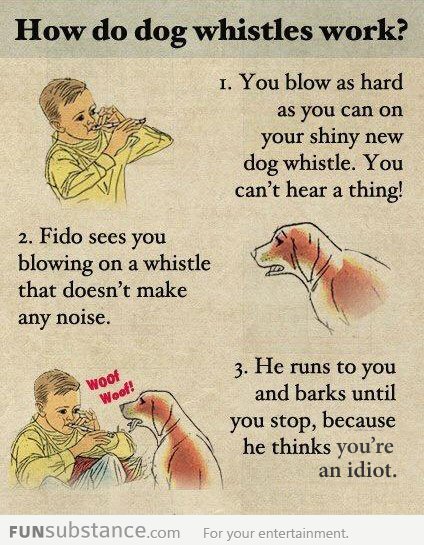 How dog whistles work...