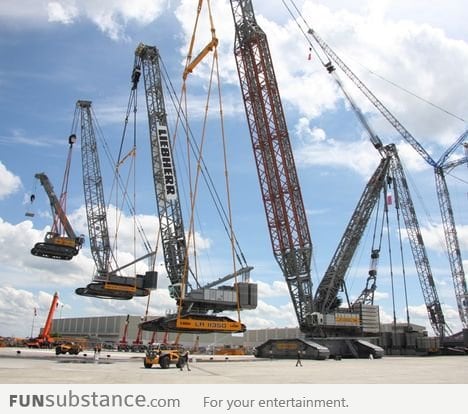 Craneception