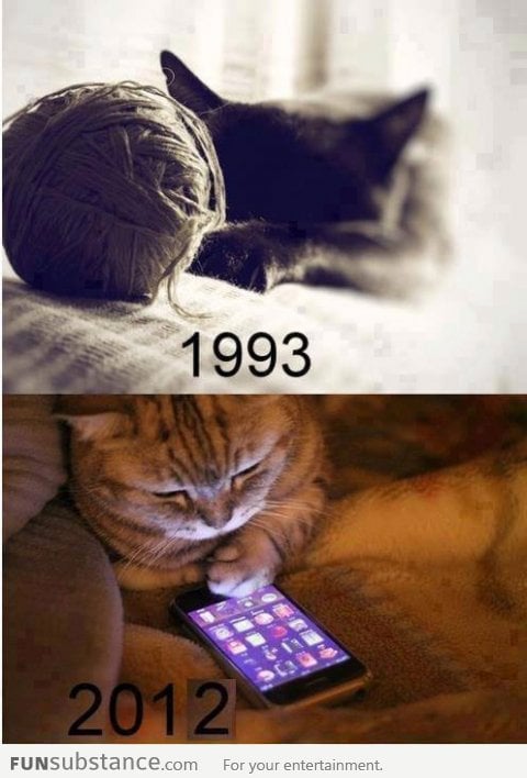 Cats then and now