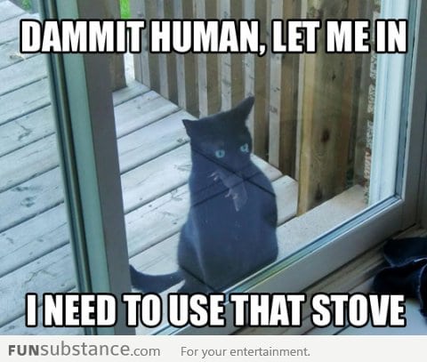 Let me in human