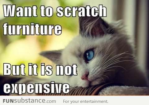 Want to scratch furniture, but it’s not expensive! FML