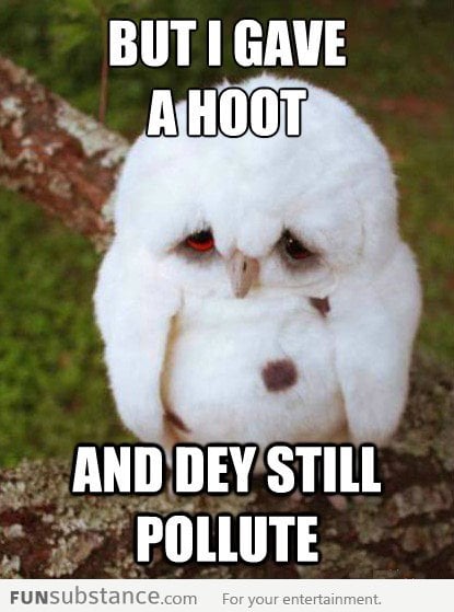 Sad Baby Owl...