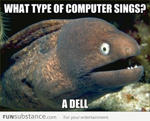 Bad joke eel strikes again