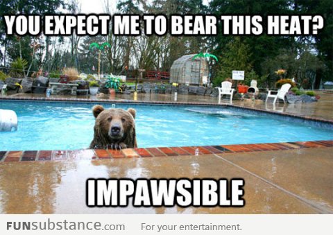 Bear joke