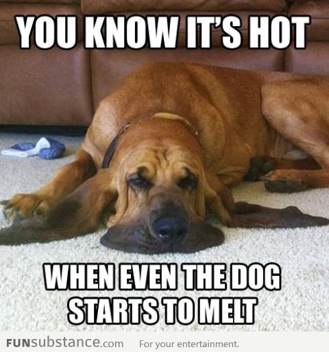 You know it's really hot