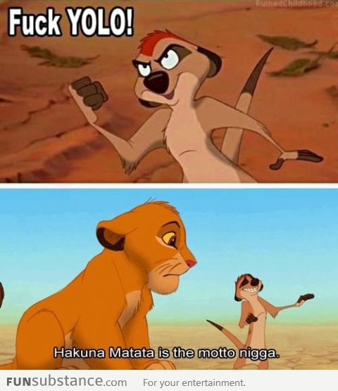 Timon knows what's up