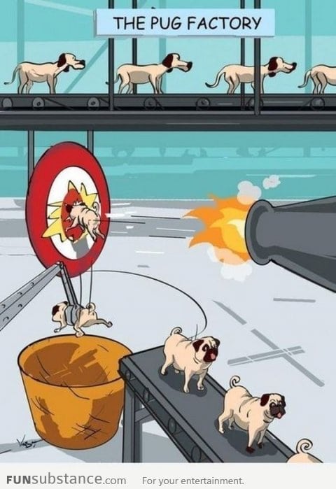 The Pug Factory