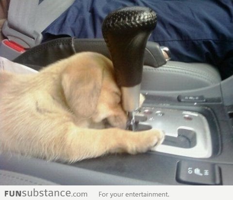 Oh Gear Stick, Will You Love Me Like I Love You?