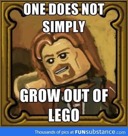 Whenever someone says I'm too old for Lego