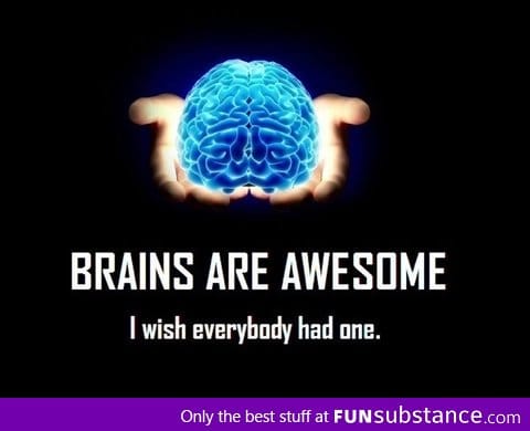 Brains are awesome