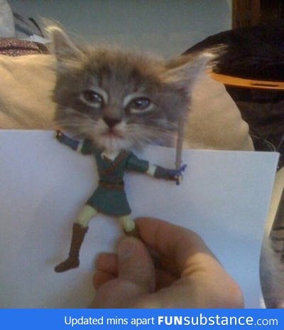 Kitty Link