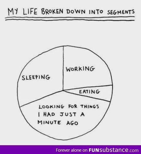 My life in a pie chart