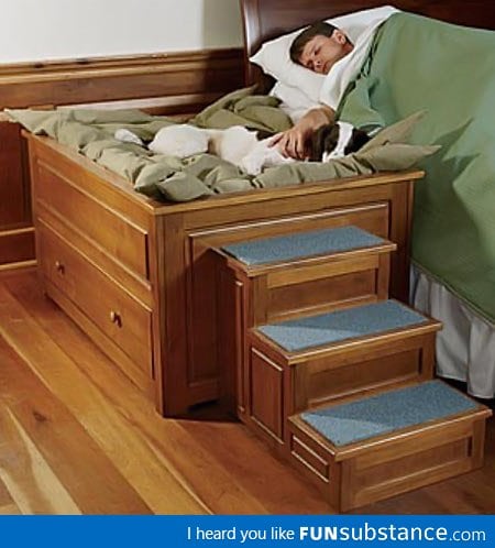 Perfect bed for your dog