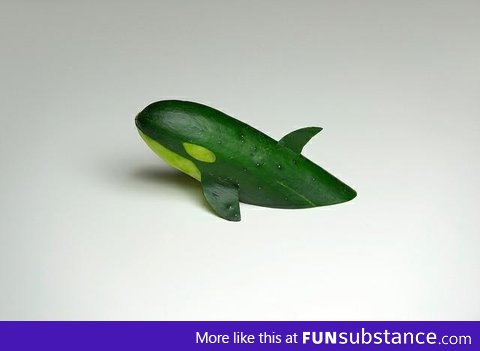 Orca Whale made with a cucumber