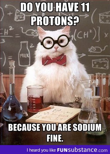 Chemistry cat knows how to get the ladies