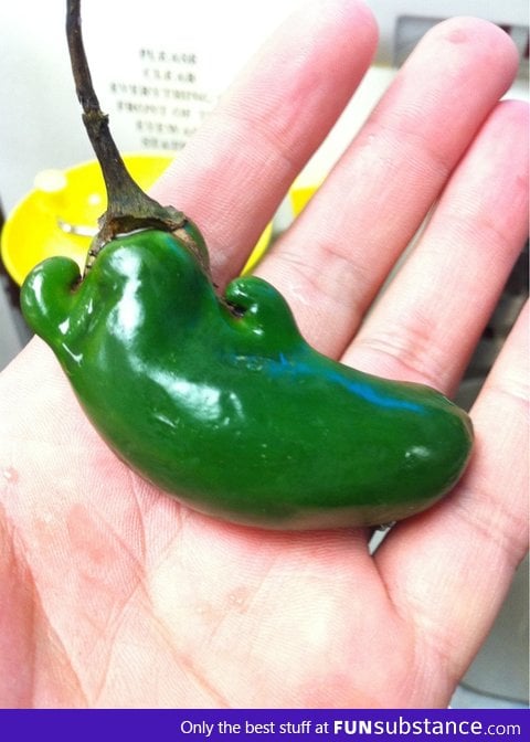 That's one strong pepper