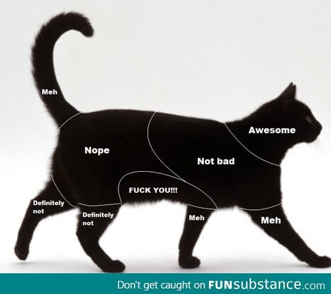 Petting chart for my cats