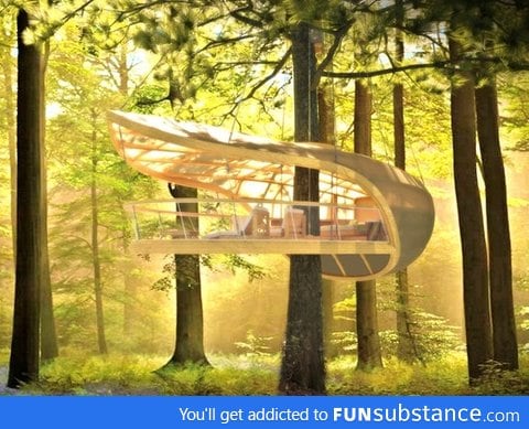 The Treehouse Pod