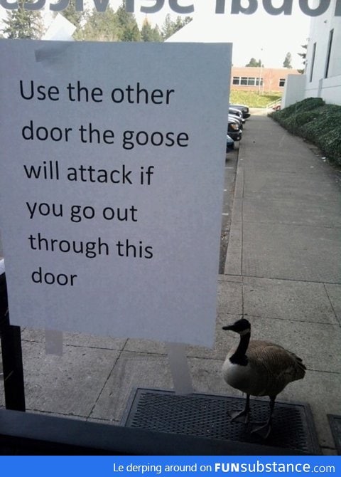 Guard Goose