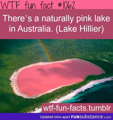 pink lake