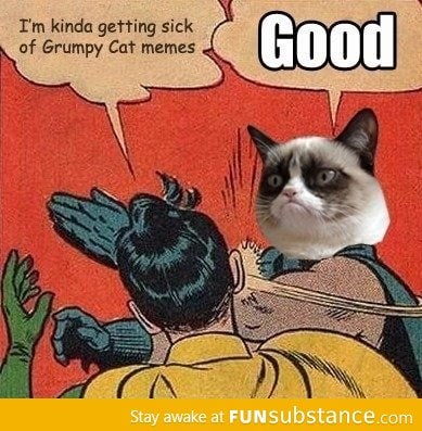 Grumpy Cat strikes back