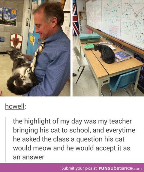 This teacher is purrfect