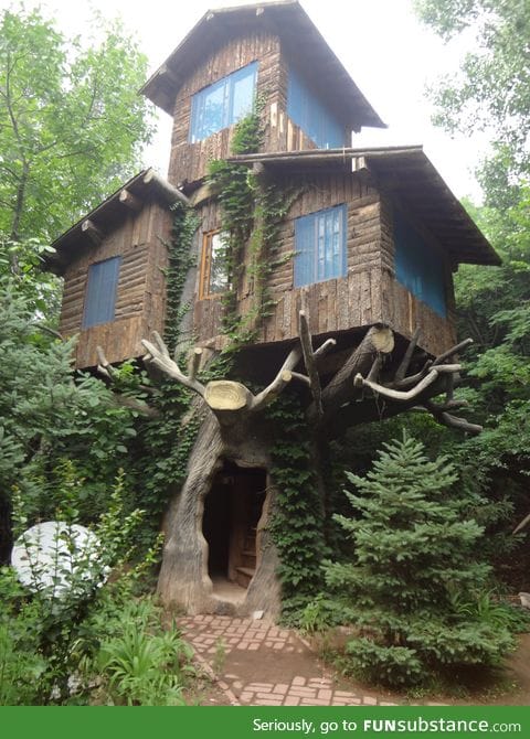 Three story tree house