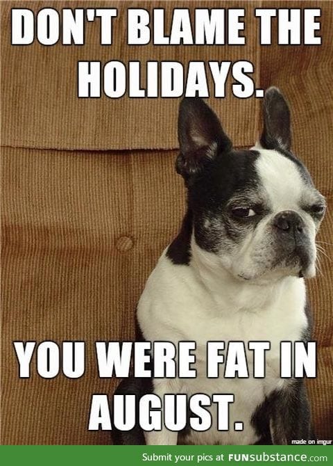 Don't Blame the Holidays!