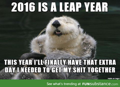 Happy New Year from Optimistic Otter!