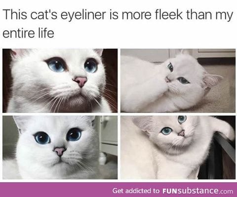 Cat's eyeliner on point