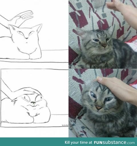 How to pet a cat. Nailed it