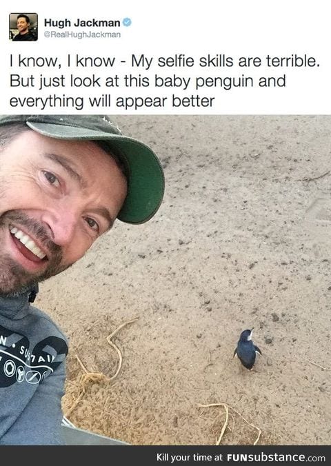 Just Hugh Jackman with a baby penguin