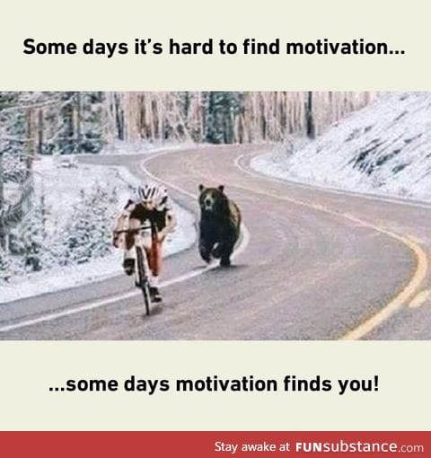 Motivation with bear