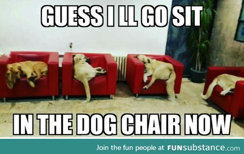 Since the hooman chairs are taken.