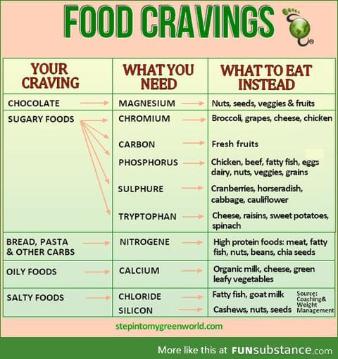 Understanding food cravings