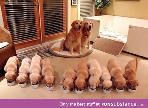 This family portrait will make you smile