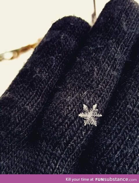 This huge single snowflake