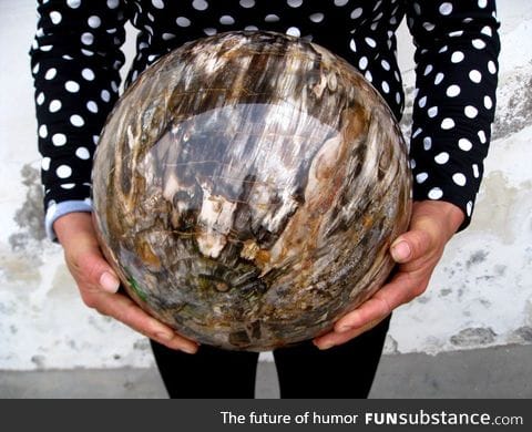 Polished sphere of fossilized wood