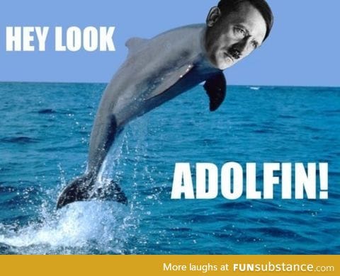 Adolfin!