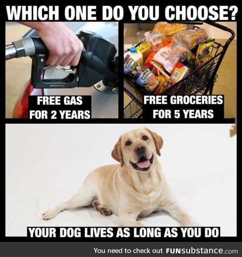 What one would you choose?