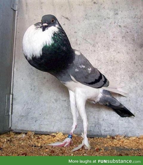 When you've already coughed 3 times and class and you're trying not to cough